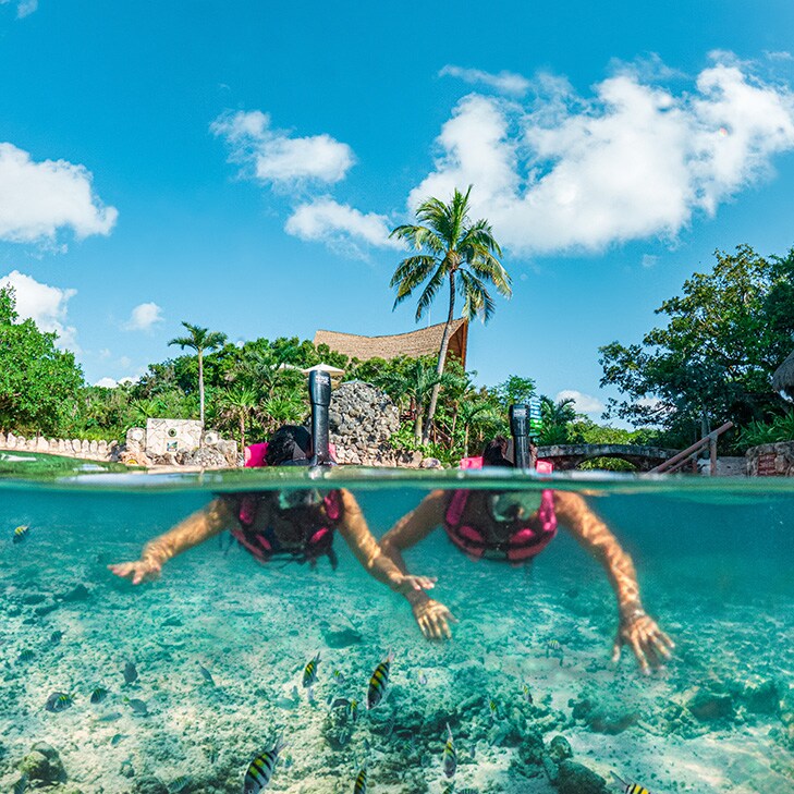 Experiencia Xcaret